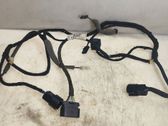 Other wiring loom