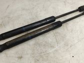 Front bonnet/hood damper/strut