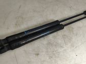 Tailgate/trunk strut/damper