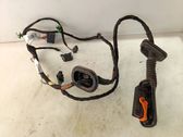 Rear door wiring loom