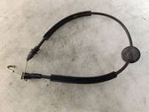 Front door cable line