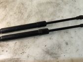 Front bonnet/hood damper/strut