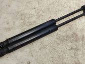 Tailgate/trunk strut/damper