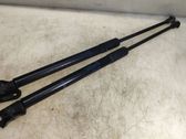 Tailgate/trunk strut/damper