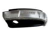 Mirror indicator light