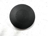 Panel speaker