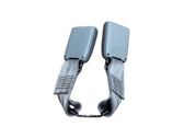 Rear seatbelt buckle