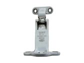Rear door lower hinge