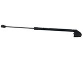 Tailgate/trunk strut/damper