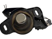 Tailgate opening switch