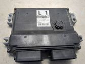 Engine control unit/module