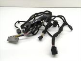 Rear door wiring loom