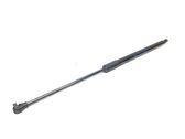 Tailgate/trunk strut/damper