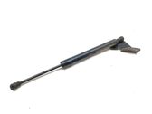 Tailgate/trunk strut/damper