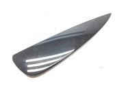 Other rear door trim element