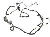 Front door wiring loom