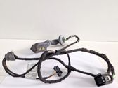 Rear door wiring loom