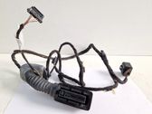 Rear door wiring loom