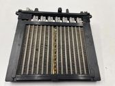 Electric cabin heater radiator