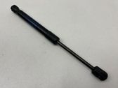 Front bonnet/hood damper/strut
