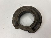 Rear coil spring rubber mount