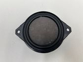 Panel speaker