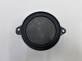 Front door speaker