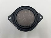 Panel speaker