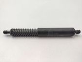 Tailgate/trunk strut/damper