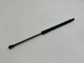 Tailgate/trunk strut/damper