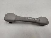 Front interior roof grab handle
