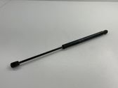 Tailgate/trunk strut/damper