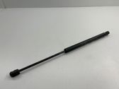 Tailgate/trunk strut/damper