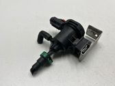 Vacuum valve
