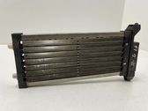 Electric cabin heater radiator
