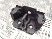 Trunk lock loop