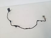 Front door handle light (exterior)