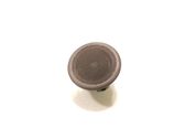 Front door high frequency speaker