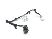Rear door wiring loom