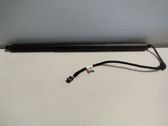 Tailgate/trunk strut/damper
