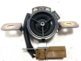 Front door high frequency speaker