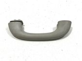 Front interior roof grab handle