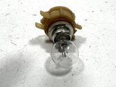 Fog light bulb