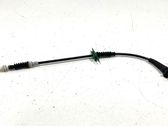 Rear door cable line