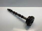 Camshaft pulley/ VANOS