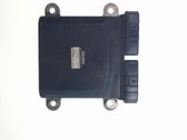 Fuel injection control unit/module