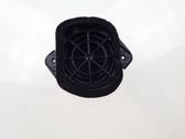 Rear door speaker
