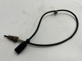 Abgastemperatursensor