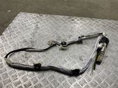 Roof airbag