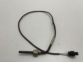 Abgastemperatursensor